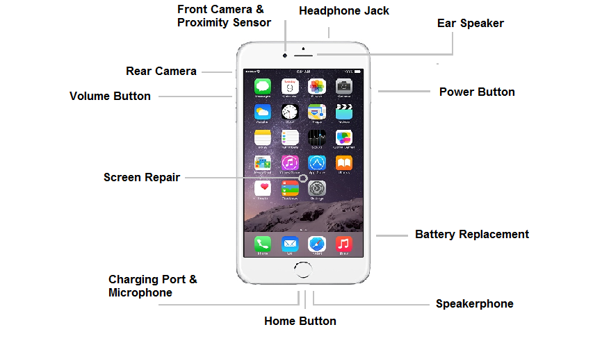 Где 6 iphone. Датчики айфон 6s расположение. Расположение датчиков на айфоне 6. Iphone 6s расположение датчиков. Iphone 8 Plus датчики на передней панели.