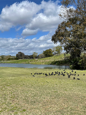 Carlton Oaks Country Club