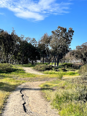 Harry Griffen Park​