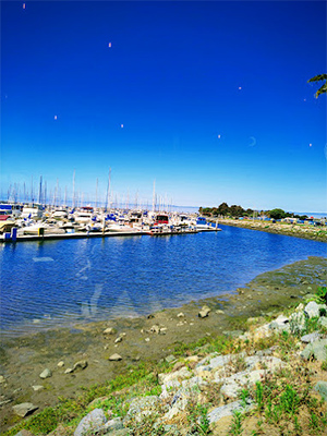 Chula Vista Marina